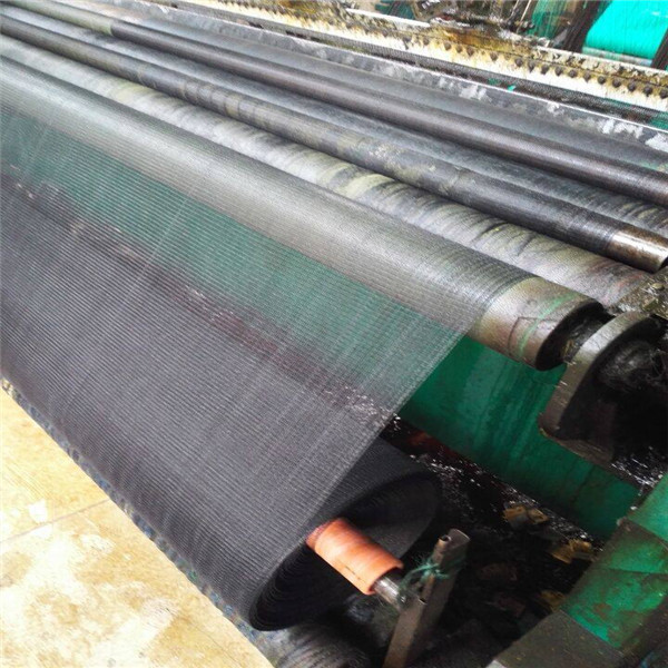 scaffolding netting.jpg