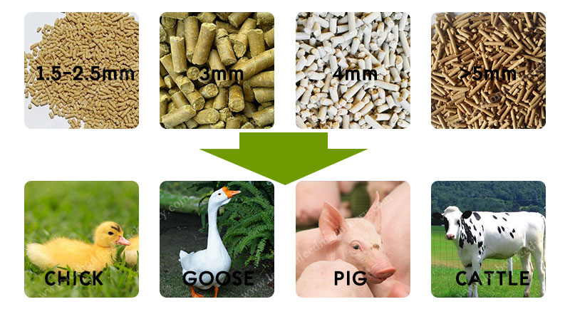 feed pellet machine3