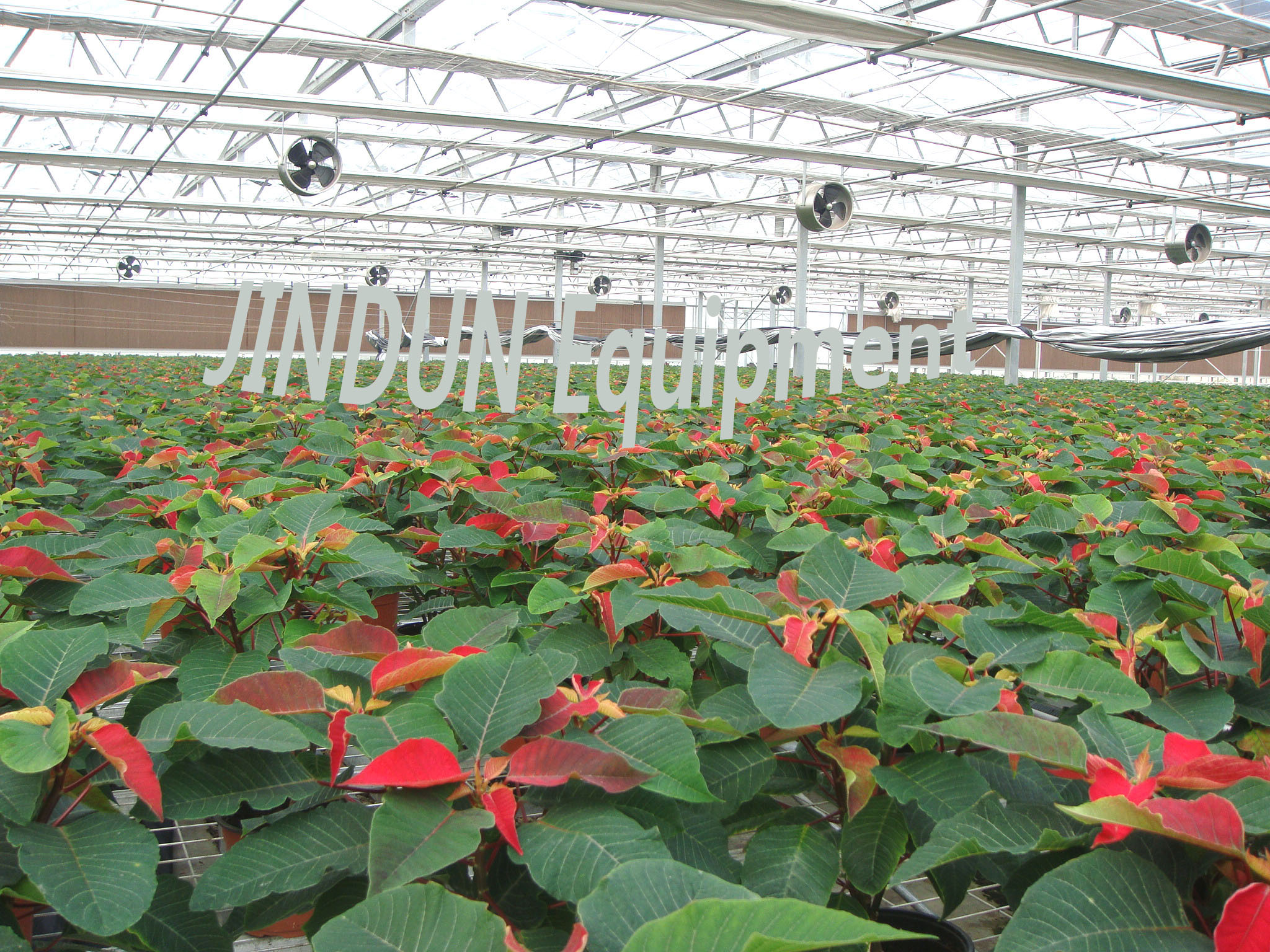 fans in greenhouses.jpg