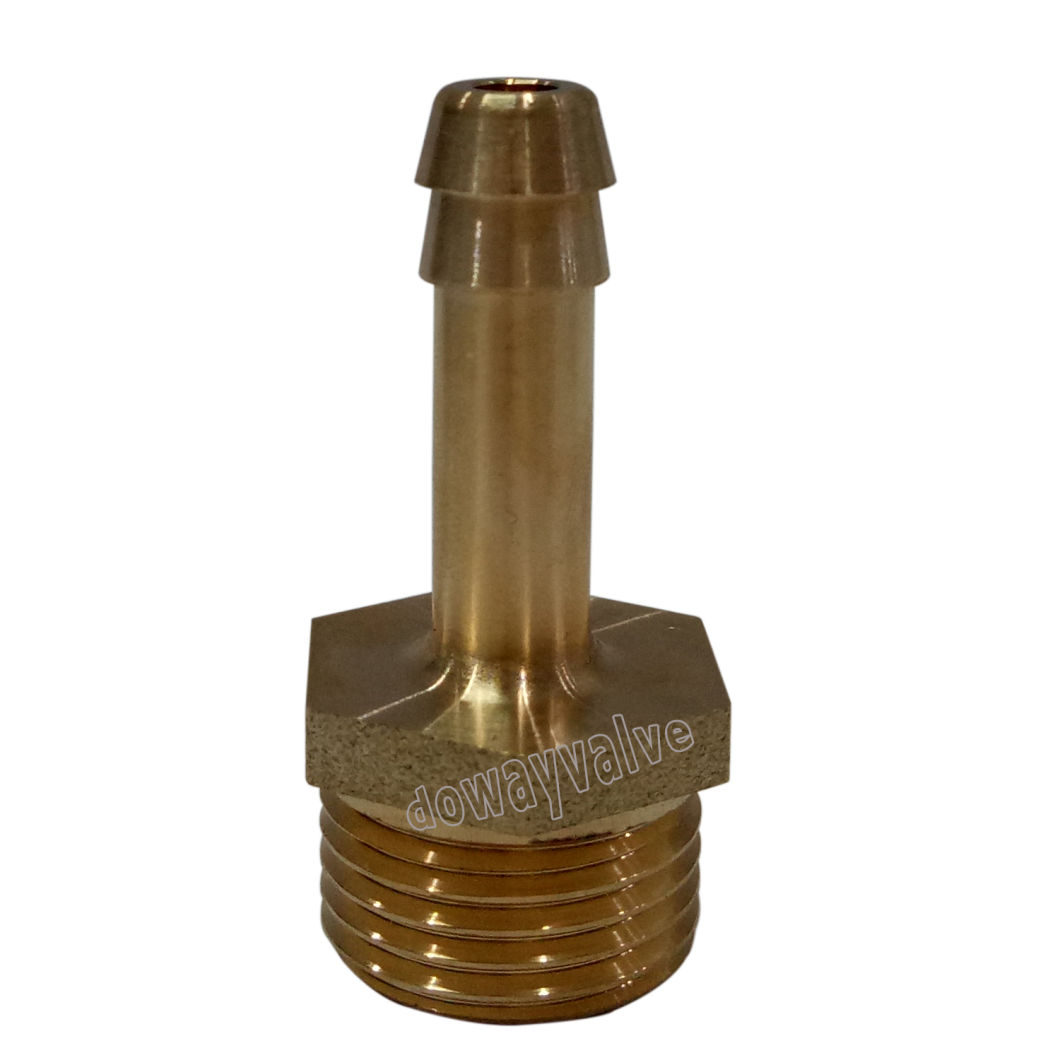 Accouplement de tuyau droit en laiton poli