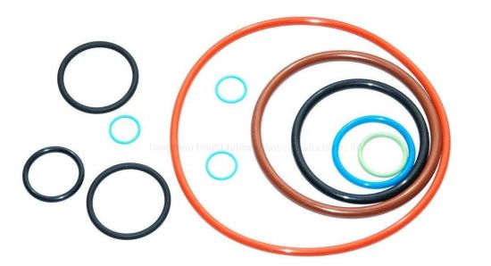 OEM High Quality Durable Duro 70~90 O Ring Seal