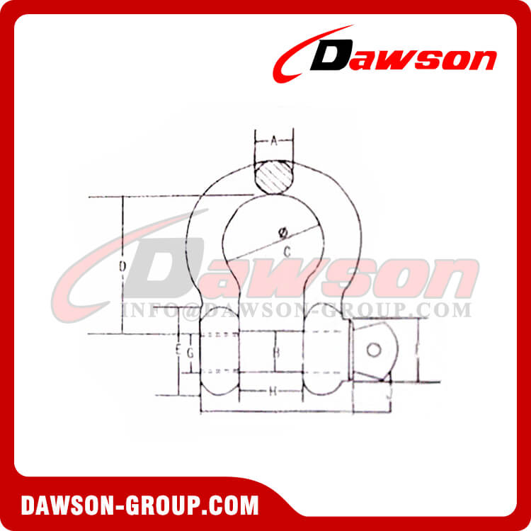 Grillete de arco tipo EE. UU. de acero inoxidable - Dawson Group Ltd. - Fabricante, proveedor y f&aacute;brica de China