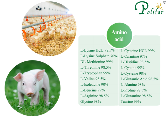 ¿Cuáles son los tipos de aminoácidos incluidos en los aditivos para piensos?-Polifar