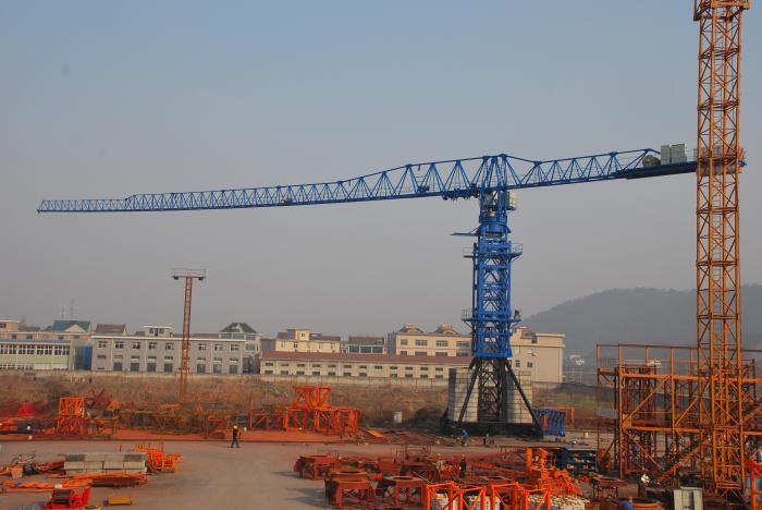 QQ图片20 19022514560 2