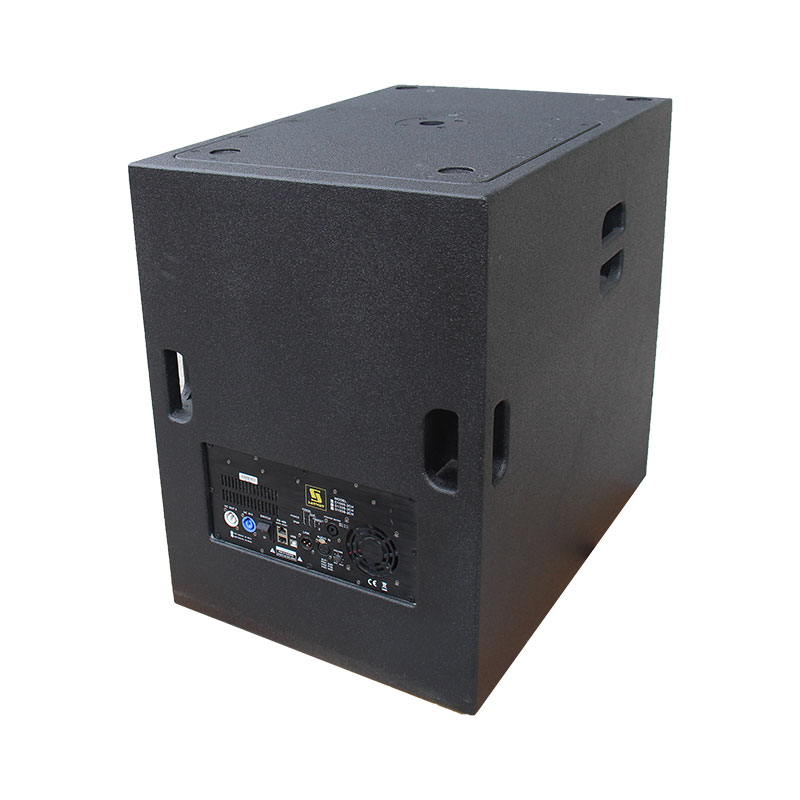 CS10 & CS18P Single 10 inch coaxial line stay speaker line speaker