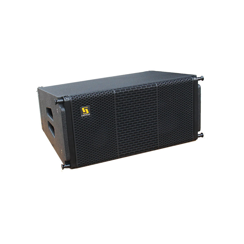 LA210P & LA18P Dual 10 Inch Active Line Array PA Speaker System