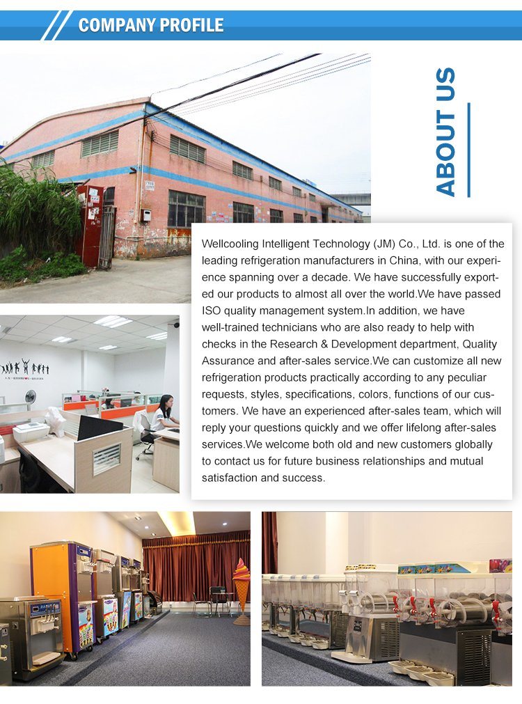 2 Tons Commercial Use Ice Flake Block Ice Machine MB-20 Ice Plant