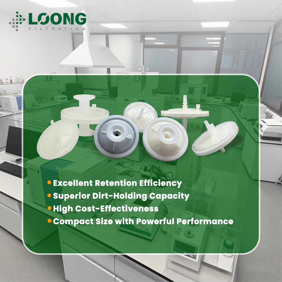 Why Choose This High-Performance Lab Filter لماذا تختار مرشح المختبر عالي الأداء هذا