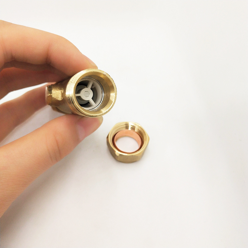 China Factory 15mm clapet anti-retour anti-pollution en laiton