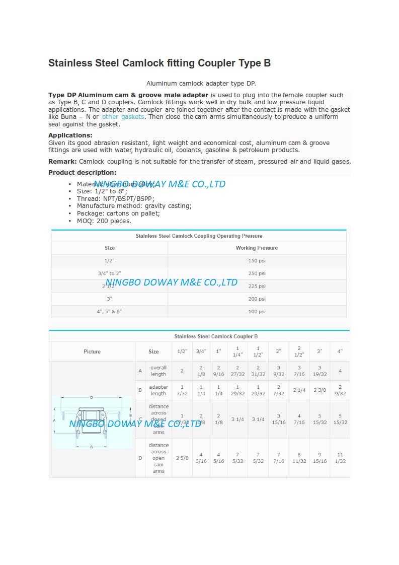 Coupleur de raccord Camlock en acier inoxydable type B