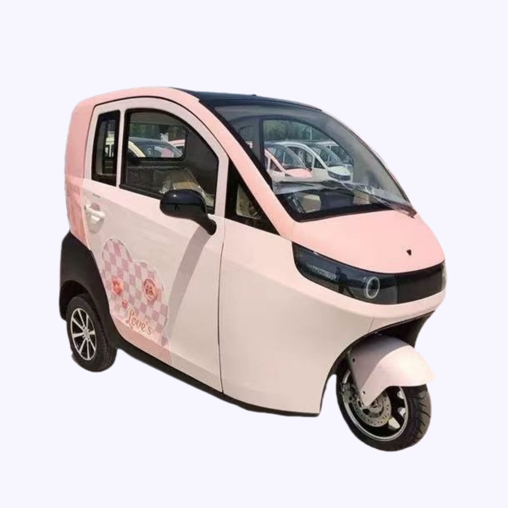 China cerró el triciclo de la cabina eléctrica de edad avanzada con triciclo de cabina eléctrica EEC L2E de 3 ruedas cubierta