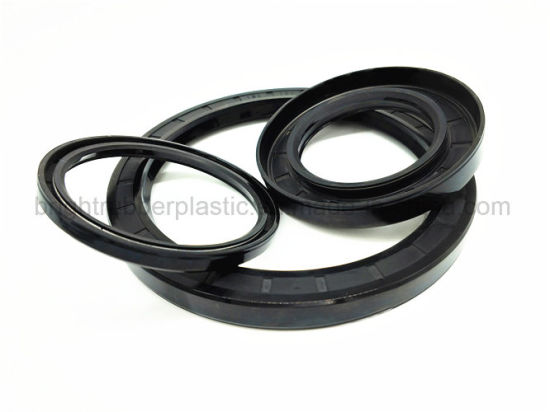 Double Lip Viton Rubber Metric Shaft Oil Seal with Spring