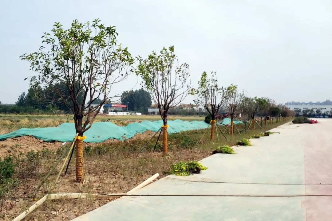 Henan Kuangshan Intelligent Industrial Park Project