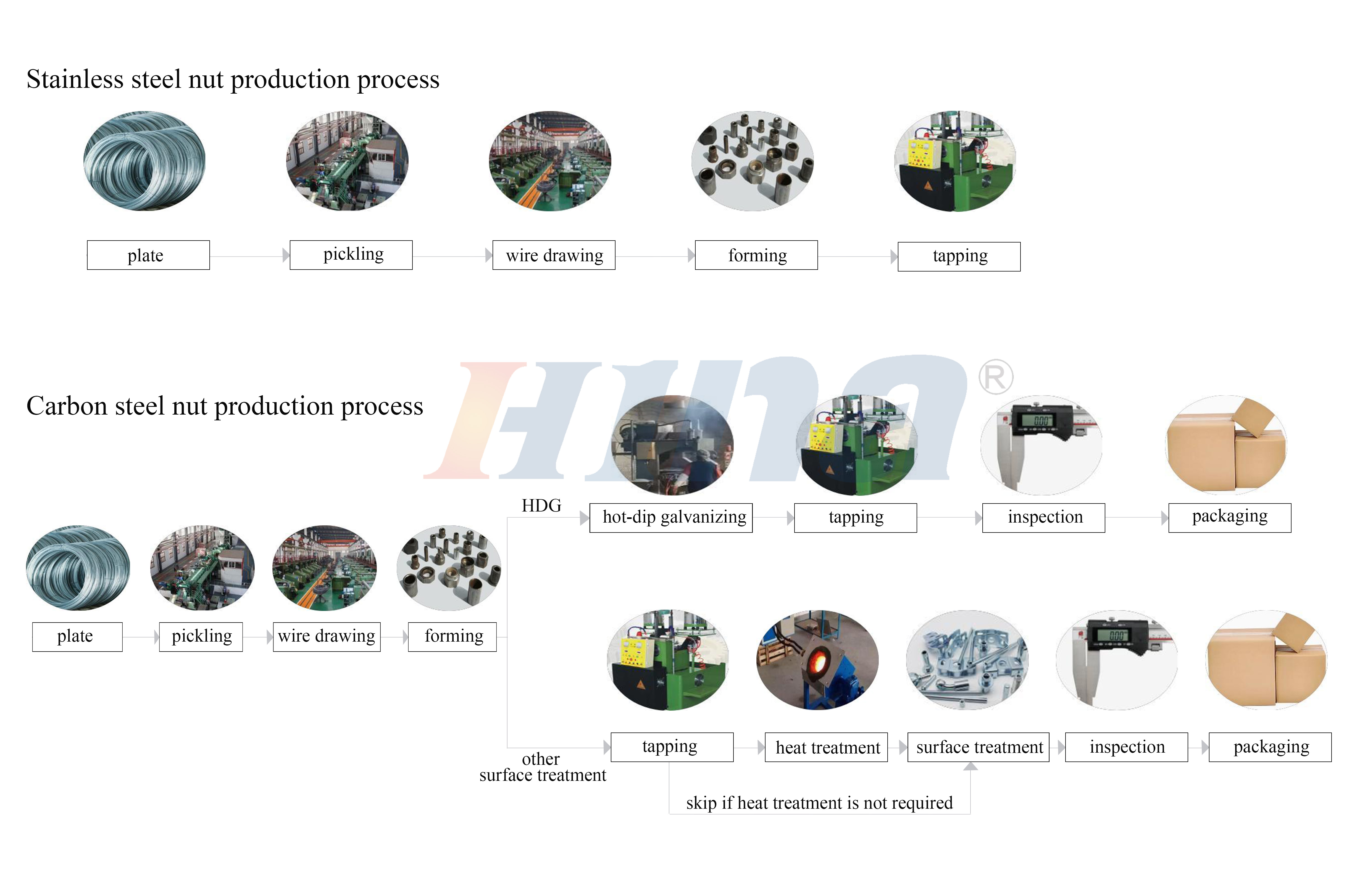 Noix de processe du produit