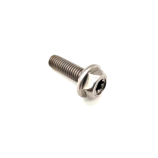 الفولاذ المقاوم للصدأ 304/316 Hex Flange Bolt