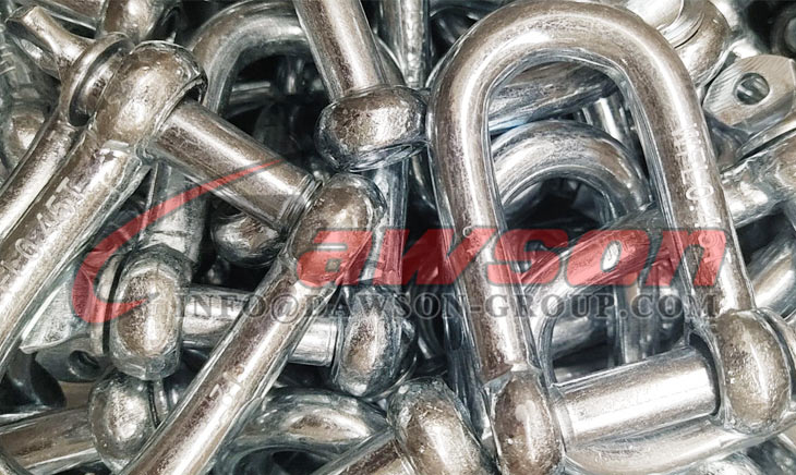 Grillete Galv Dee comercial de tipo europeo - Dawson Group Ltd. - Fabricante, proveedor de China