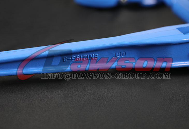 Carpeta de carga con trinquete de grado 100 y 10 mm con gancho de sujeci&oacute;n y pasador de seguridad para amarre con trinquete - Dawson Group Ltd. - Fabricante, proveedor y f&aacute;brica de China