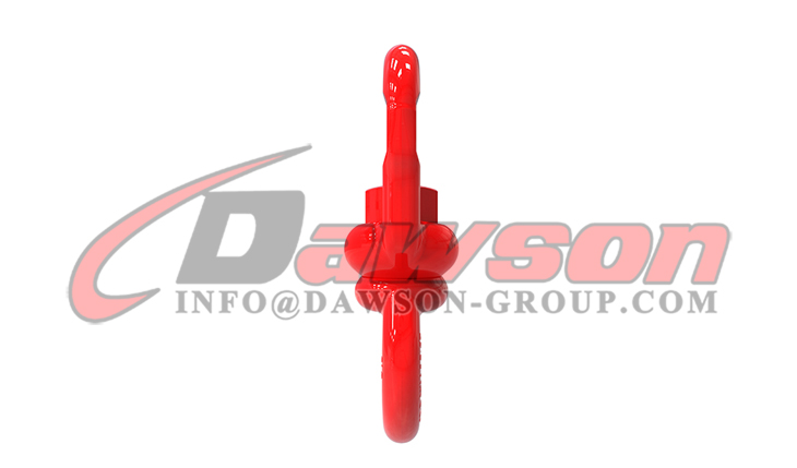 DS120 Ojo giratorio para polipasto - Dawson Group Ltd. - Fabricante, f&aacute;brica, proveedor de China