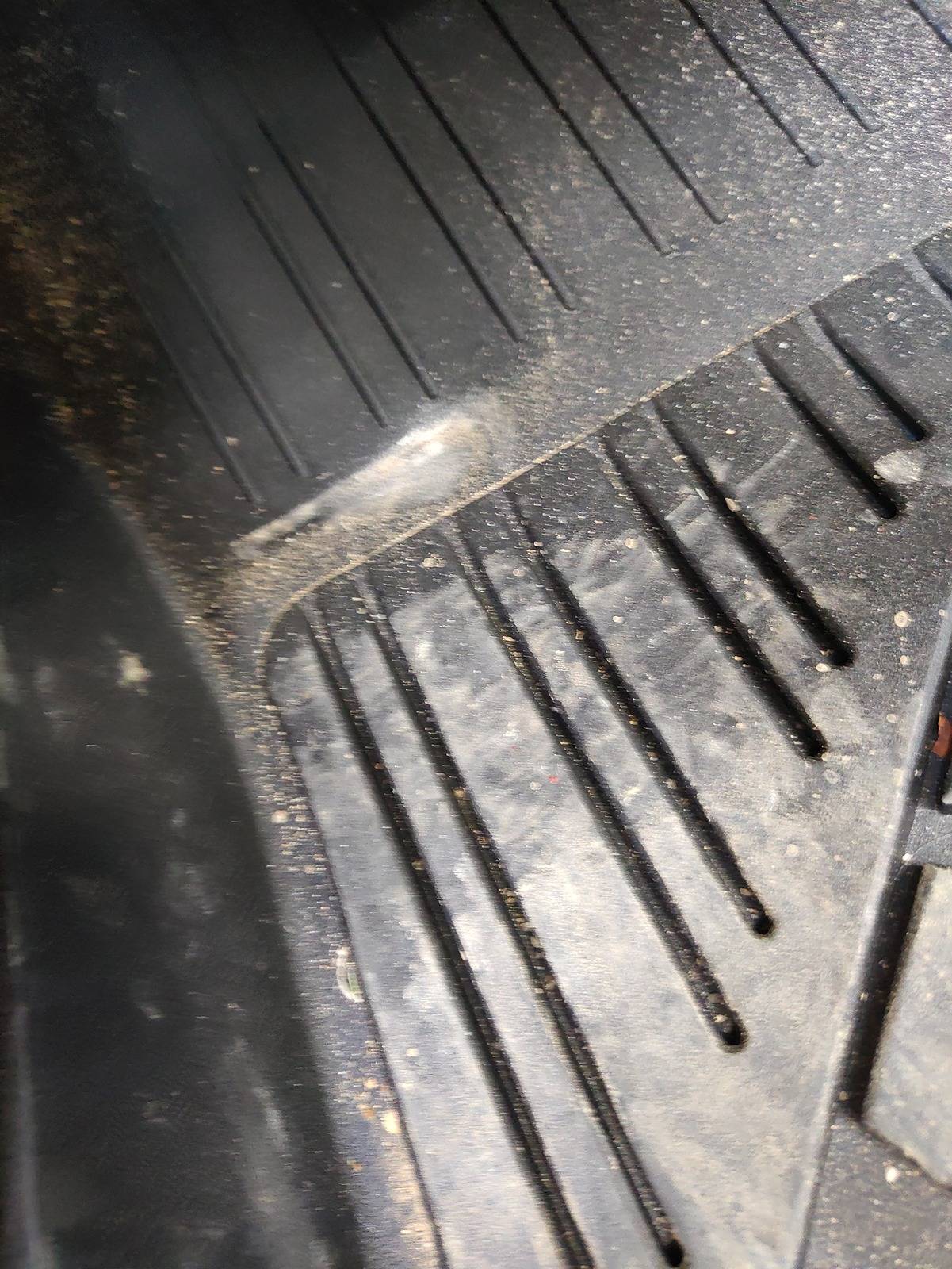 IMG_20240527_1103572002