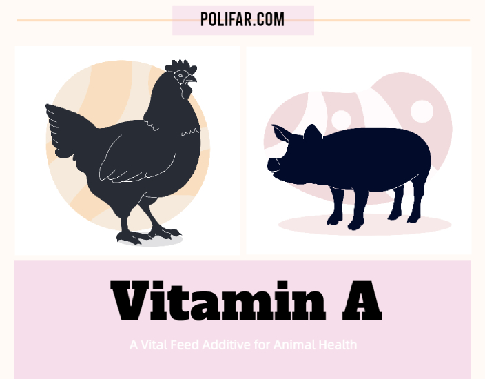 Vitamina A: un aditivo alimentario vital para la salud animal