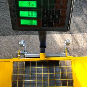 Puerta de seguridad de andamios pintada BS1139 para construcción