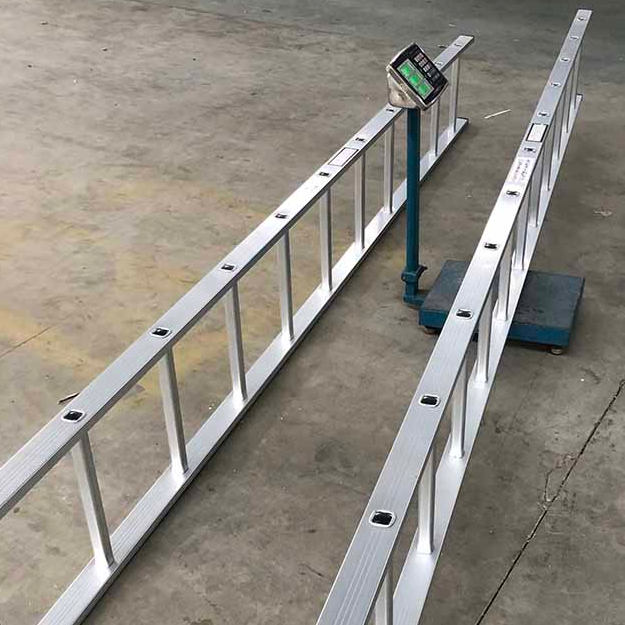 W390脚手架垂直梯子