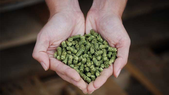 Alfalfa Feed Pellets Making Mill/Making Alfalfa Pellets for Cattle Feed