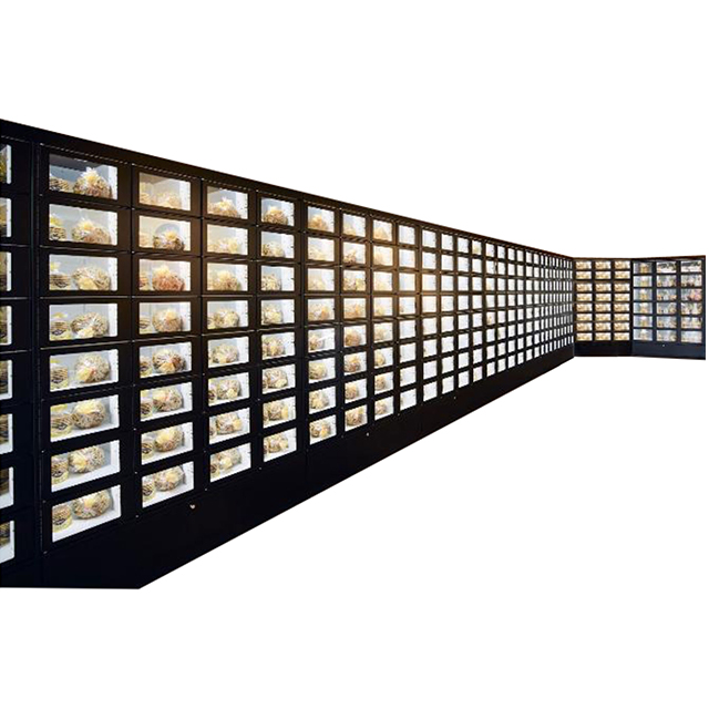 BV4600 Sistema de venta de casilleros inteligentes modulares negros, configuraci&oacute;n de unidades m&uacute;ltiples para venta minorista de productos frescos de gran volumen