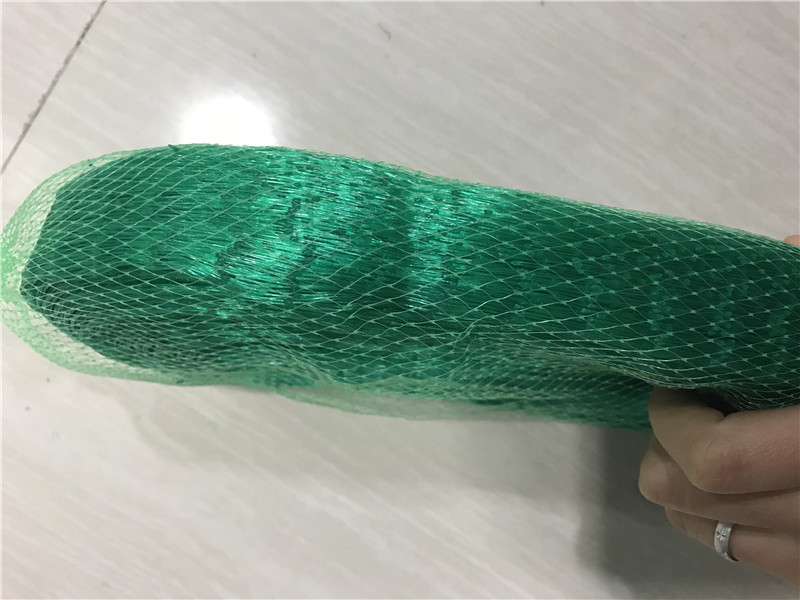 la red del p&aacute;jaro