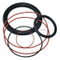 High Performance Customized Rubber Rings
