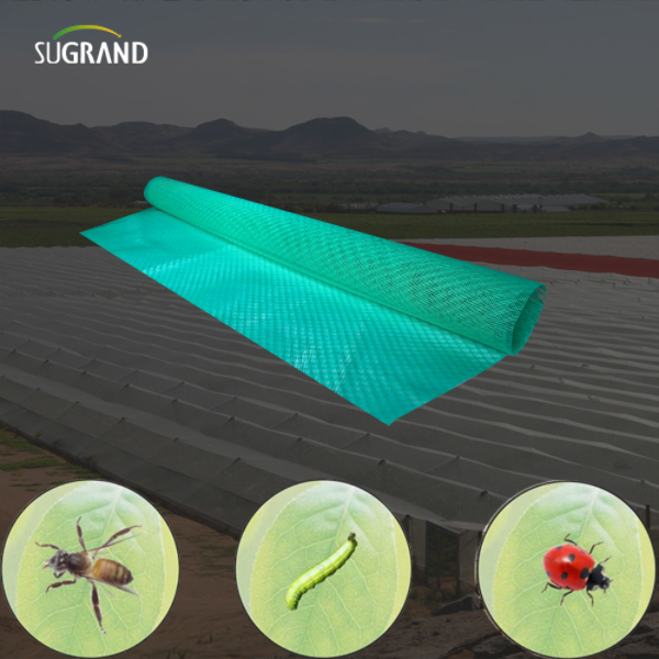 Cómo instalar redes de insectos: una guía de bricolaje para agricultores y jardineros