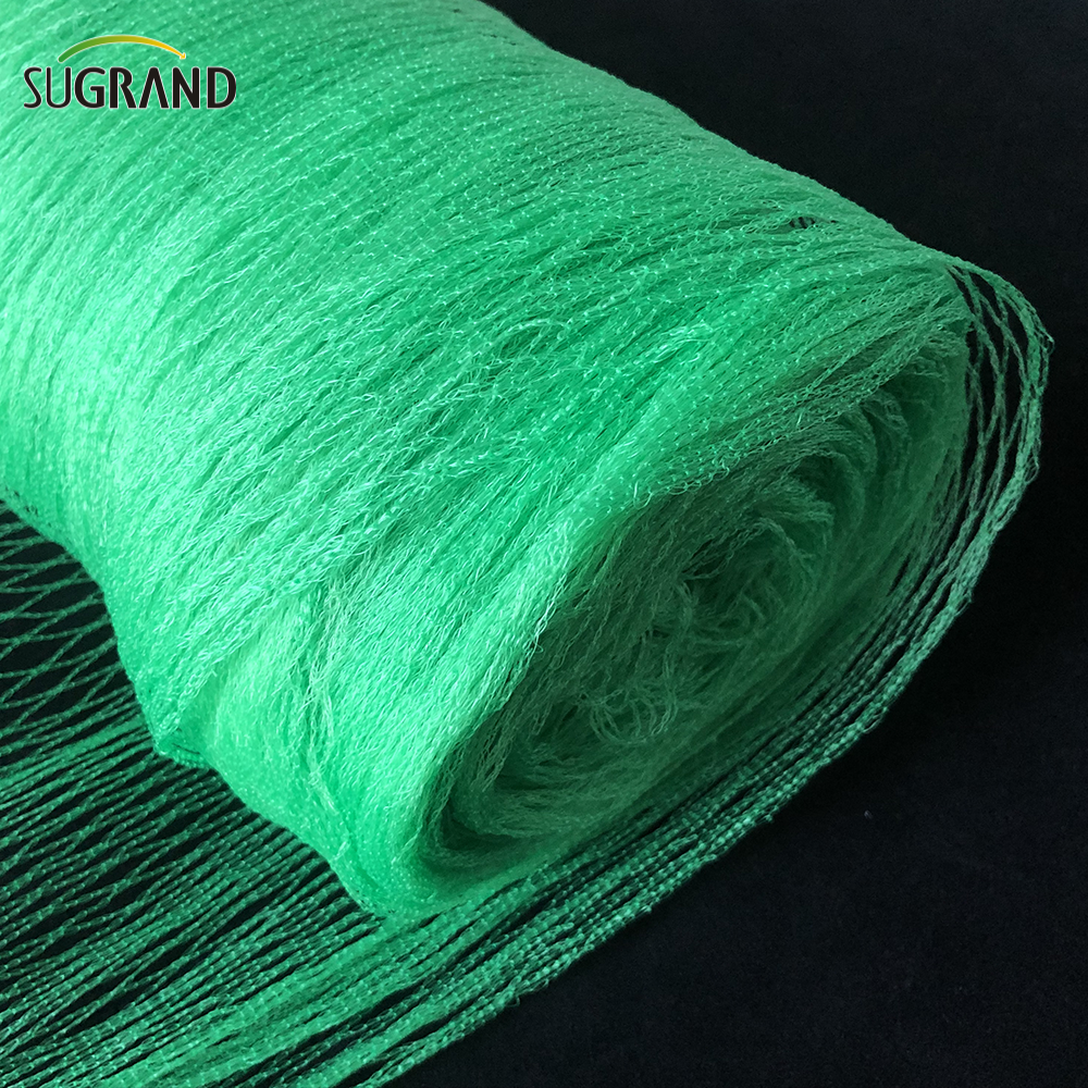 Green Bird Net 4x30m Bird Net para proveedores del mercado de Tailandia