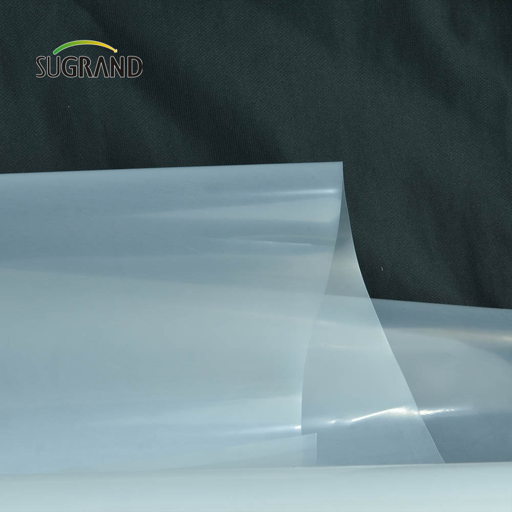Película de invernadero transparente de plástico 190mic para plántulas de jardín