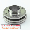BV39 5439-988-0022/ 54399880022/ 54399880011/ 5439-970-0022/ 54399700022 Nozzle Ring for Turbocharger