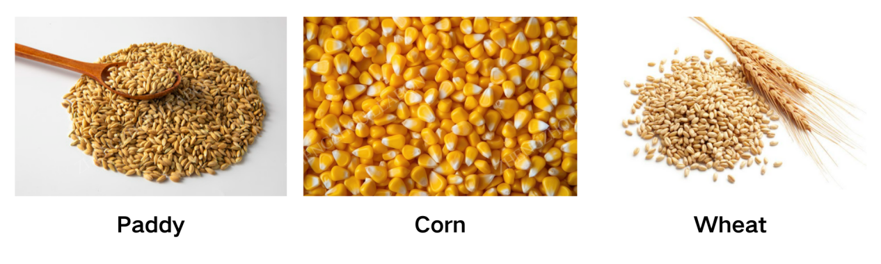 grain sucking machine4