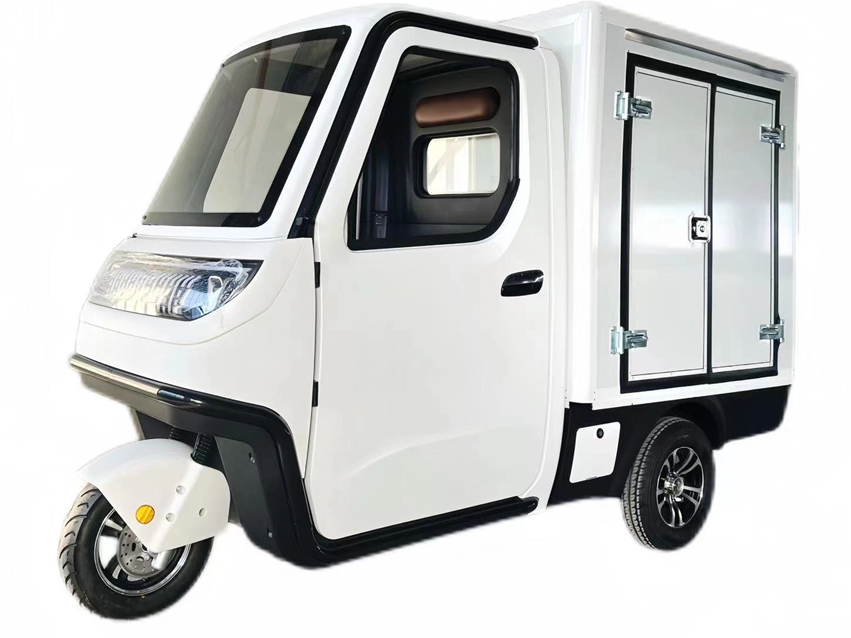 EEC L6E aprobación 3000W Entrega de alimentos recargable Van 45 km/h de entrega eléctrica Van Mini Entrega Vanza de carga