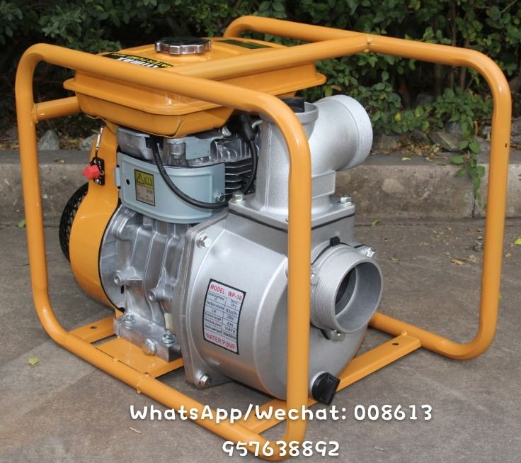 3 inch 5.0HP Robbentype EY20 Gasoline Petrol Water Pump for Irrigation