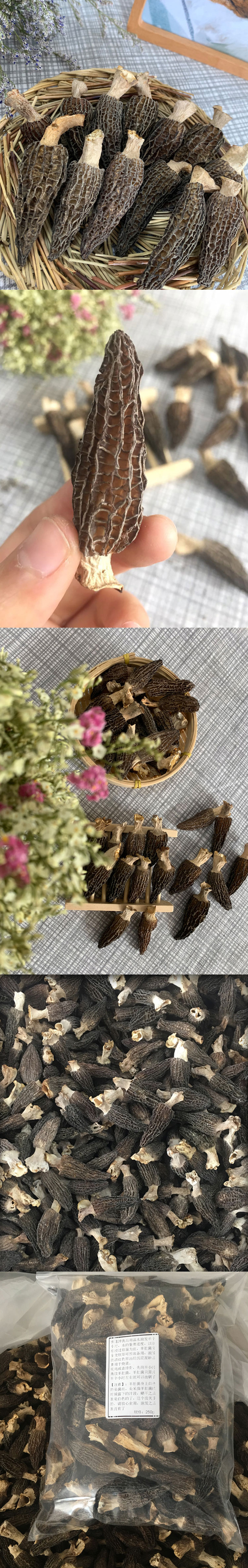 特价羊肚菌干货