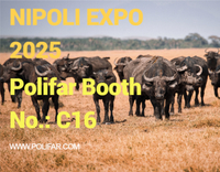 //a0.leadongcdn.com/cloud/lmBqnKmmSRilpkipjkkq/NIPOLI-EXPO.jpg