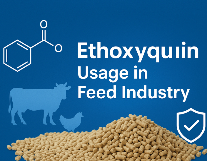 Ethoxyquin Usage in Feed Industry.jpg