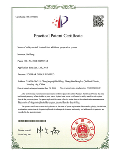  Certificado de patente práctico. 