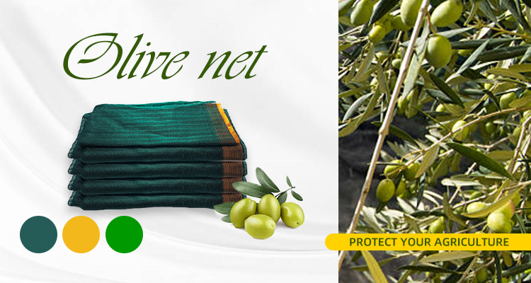 56GSM Olive Net