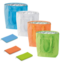 Foldable Insulated Cooler Bag Lunch Portable Beach Cold Storage Bags