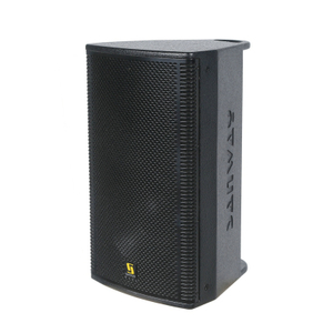 SA10 Single de 10 pulgadas Professional Professional Active DJ Club Speaker