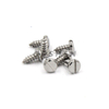 Acero inoxidable 304 316 ST4.2 Tornillos de palanca de cabecera de sartén ranurado 