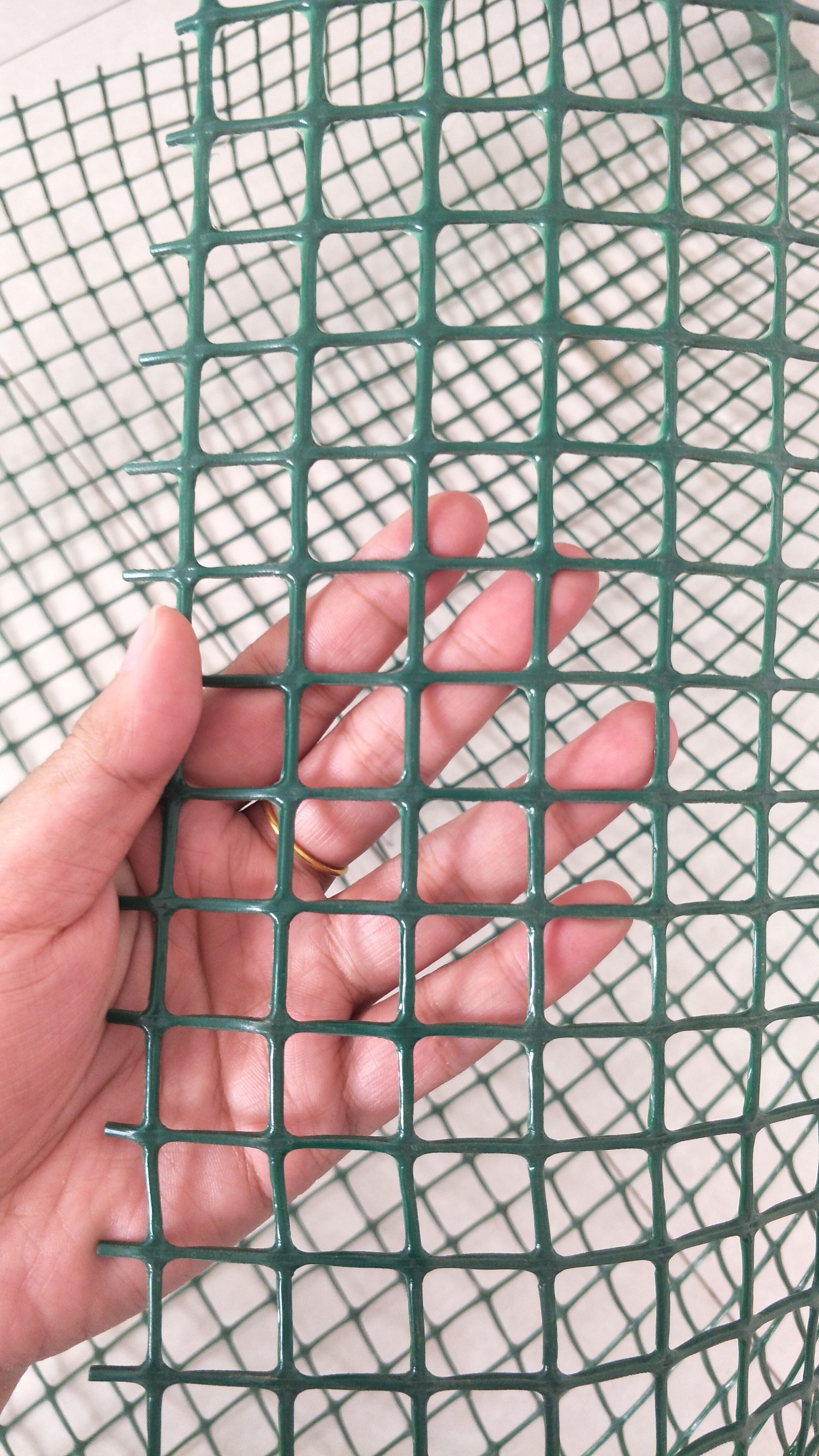 QQ图片20190515094616