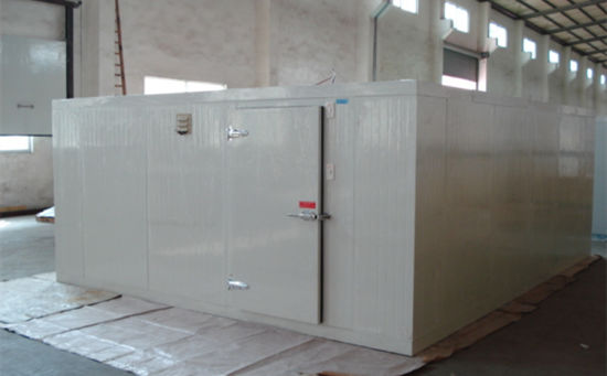 Industrial Cold Room Block Ice Machine Container 1000 Kg