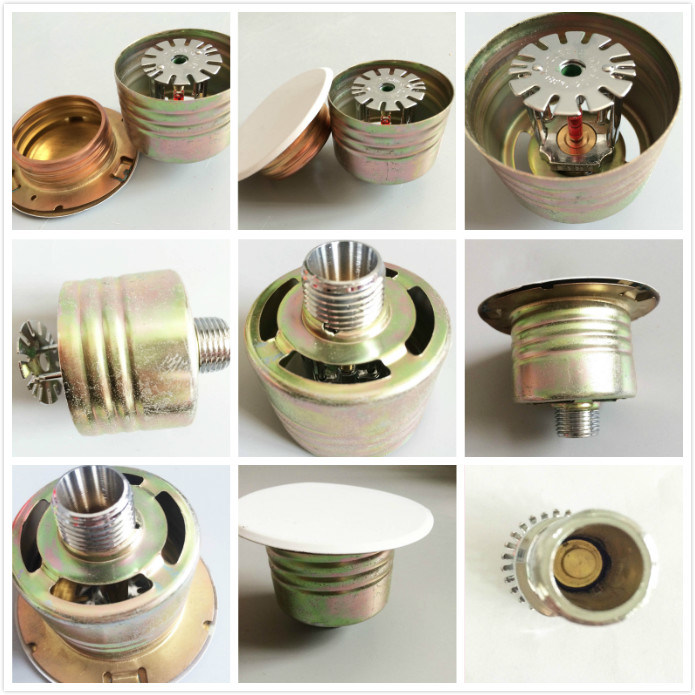 Standard/Quick Response Concealed Fire Sprinkler