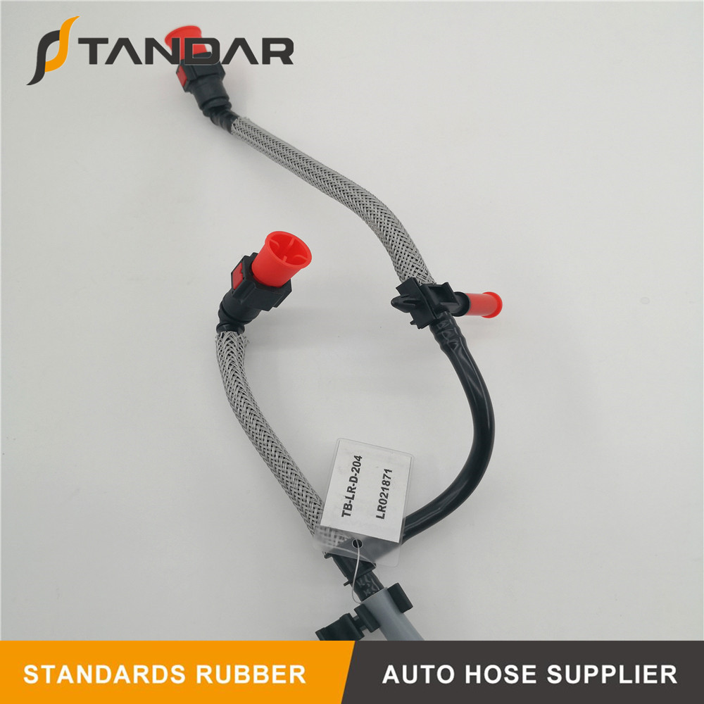 IMG_20200131_123642_ 副本