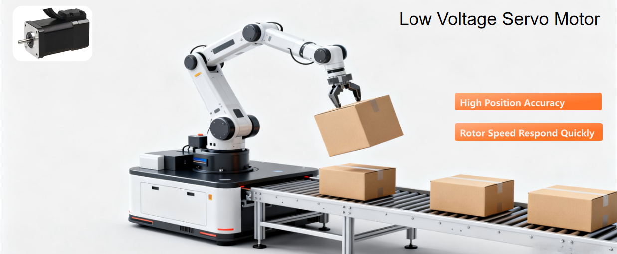 Low Voltage Servo Motor